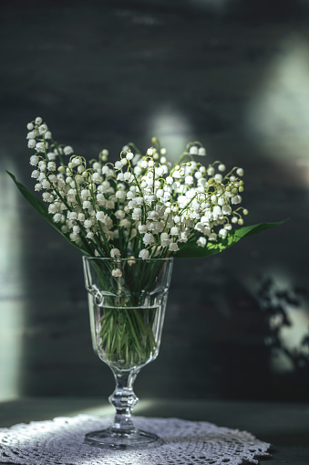 Lily of the valley spring flowers. May lilies with big green leaves on white background