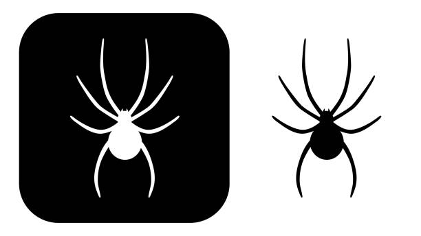 ilustrações de stock, clip art, desenhos animados e ícones de black and white spider icons 4 - fobia ilustrações