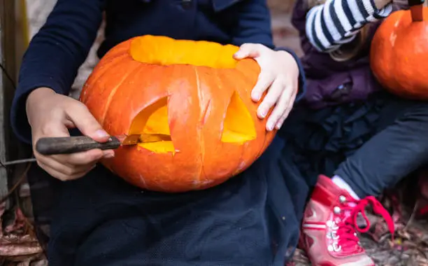 Little girls make jack-o-lantern from big pumpkins for celebratiion of halloween holiday.Witch costume, hat, coat. Cut with knife,take out pulp with seeds.Outdoors activity, backyard.Children's party.