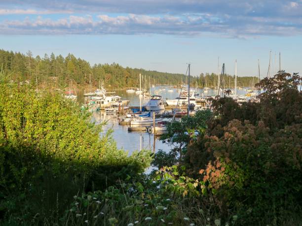 istock Marina in Salt Spring Island 1419131189