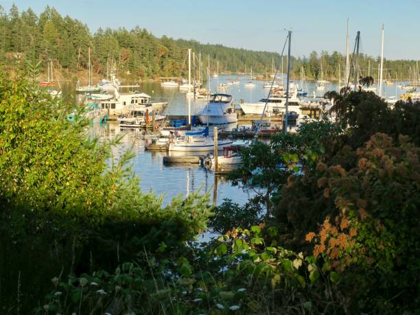 istock Marina in Salt Spring Island 1419131212