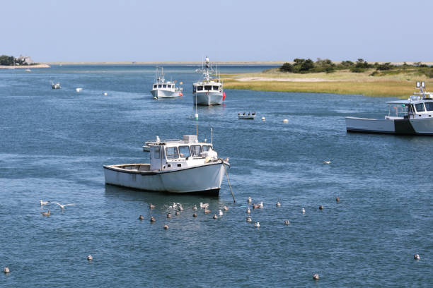 Boats in Chatham Harbor - View from the Fishing Pier stock photo