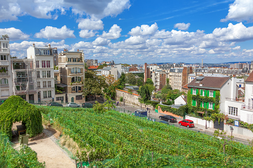 View of Montmartre and vineyard in Paris