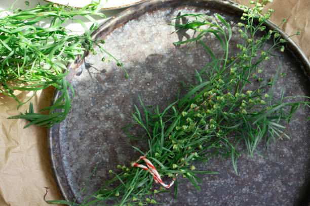 green grass tarragon on old background - tarragon close up herb bunch imagens e fotografias de stock