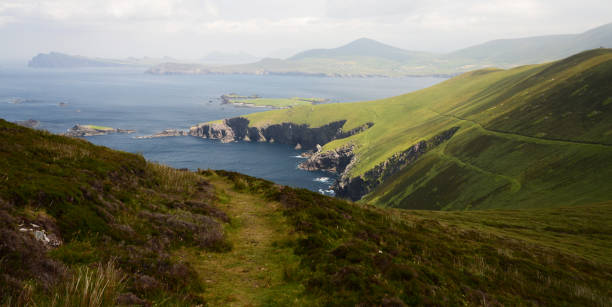 istock Blasket Islands West Kerry, Ireland 1419134539