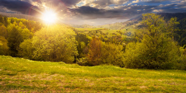 istock beautiful nature scenery in spring at sunset 1419134817