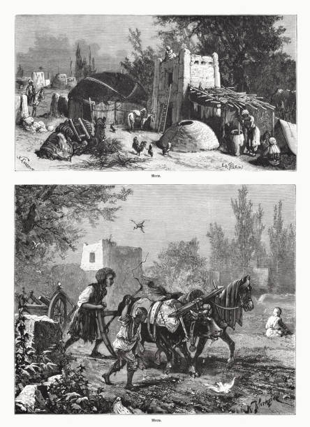 ilustrações, clipart, desenhos animados e ícones de visões históricas de merv, turquemenistão, gravuras de madeira, publicadas em 1885 - turquemenistão