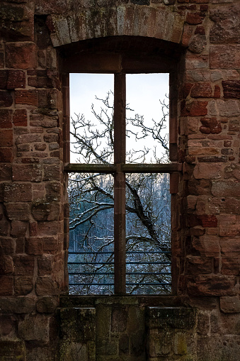 view from a window of a ruin on a bare tree in winter