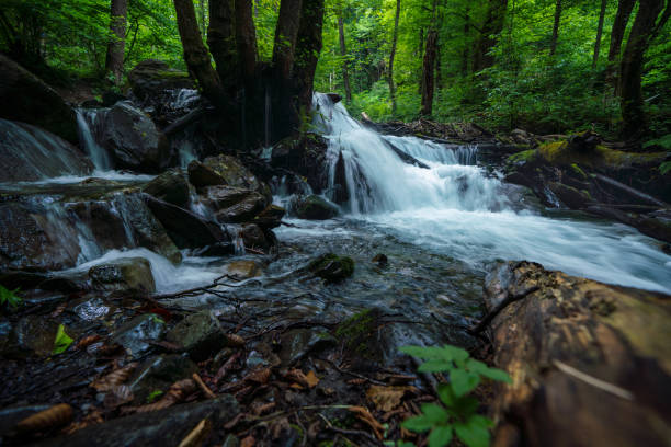 Beautiful stream in the mountains