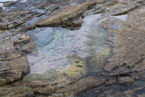 istock Tidal pools on Yakushima Island 1419138883