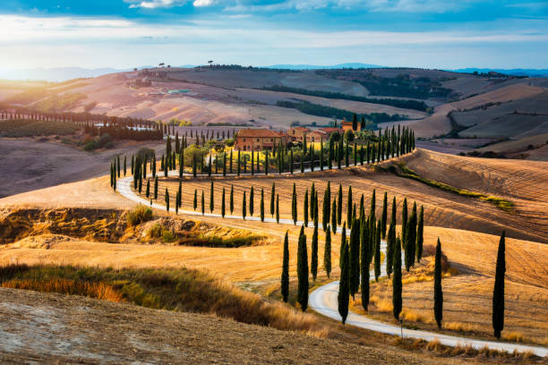 bekannte toskanische landschaft mit getreidefeldern, zypressen und häusern auf den hügeln bei sonnenuntergang. sommer ländliche landschaft mit geschwungener straße in der toskana, italien, europa - tuscany stock-fotos und bilder