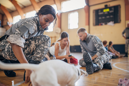 Diverse group of people, soldiers on humanitarian aid to civilians in school gymnasium, after natural disaster happened in city. Soldier is playing with dog.