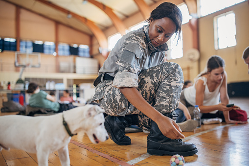 Diverse group of people, soldiers on humanitarian aid to civilians in school gymnasium, after natural disaster happened in city. Soldier is playing with dog.