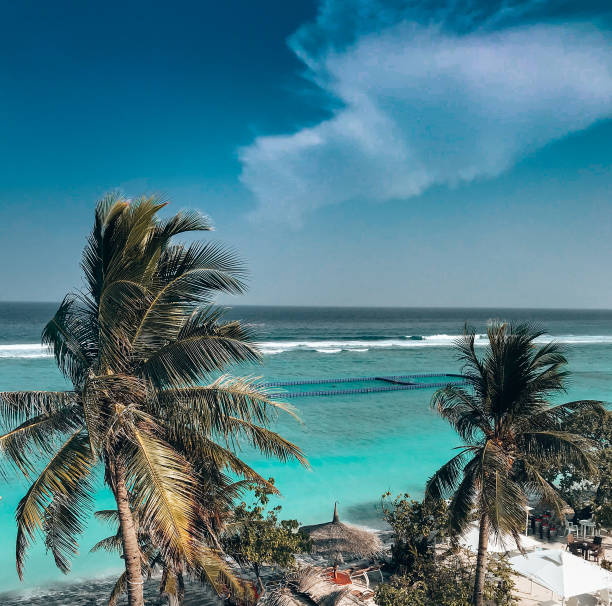 istock palm trees against the maldives sea 1419148347