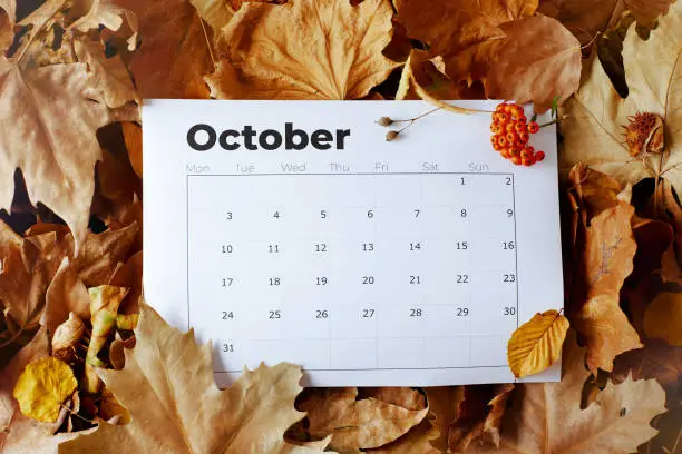 Photo of autumn background with October calendar, pyracantha and leaves