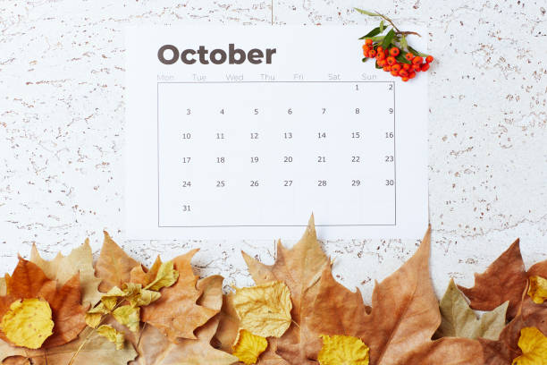 istock autumn background with October calendar, pyracantha and leaves 1419150757