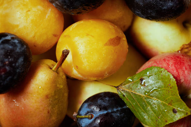 istock autumn flat lay with apples, pears and plums 1419150759