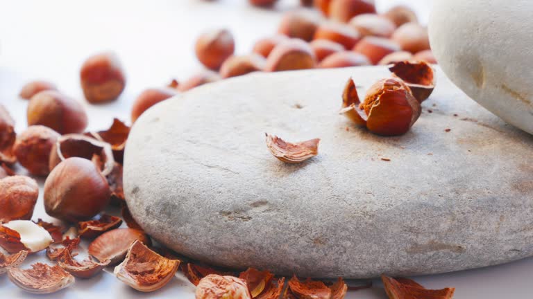 Primitive tools of labor of ancient man. A man is cleaning a hazelnut using two heavy stones. Hard nut close-up