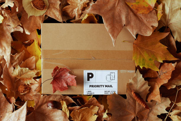 autumn flat lay with parcel and leaves stock photo