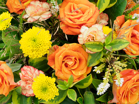 Macro shot of part of a colourful flower arrangement