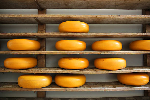 Whole cheeses on a wooden shelve refined in Gouda Holland stock photo