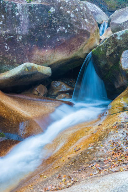 istock autumn leaves in the valley 1419155037