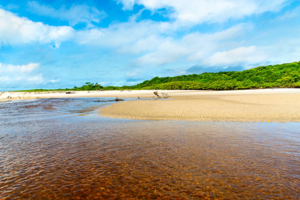 Reddish water of a river against the blue sky. Guaibim beach, coast of the sea of Bahia, Brazil