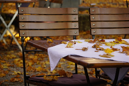 Tables and chairs fall under the leaves. Abandoned beer garden. Beer garden in autumn. Bavarian beer garden under the foliage.