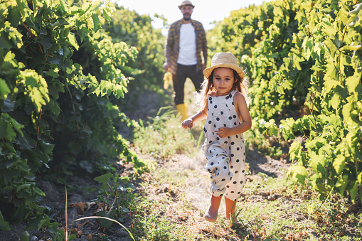 Little girl running through vineyard