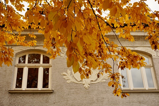 Autumn in Bavaria. Buildings and windows hiding behind autumn foliage. Autumn trees with leaves cover buildings and windows in Europe. German golden autumn, trees in the city.