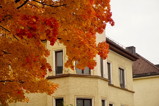 Autumn in Bavaria. Buildings and windows hiding behind autumn foliage. Autumn trees with leaves cover buildings and windows in Europe. German golden autumn, trees in the city.