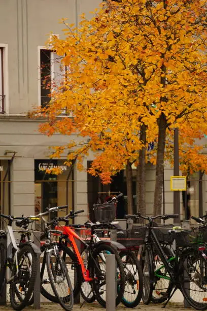 Photo of Autumn in Bavaria. Buildings and windows hiding behind autumn foliage. Autumn trees with leaves cover buildings and windows in Europe. German golden autumn, trees in the city.