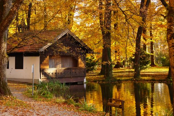 kurpark, bad aibling, górna bawaria, niemcy. w środku miasta, a jednocześnie z dala od zgiełku, kurpark jest zieloną oazą spokoju i relaksu, ale także spotkań. - cottage autumn wood woods zdjęcia i obrazy z banku zdjęć