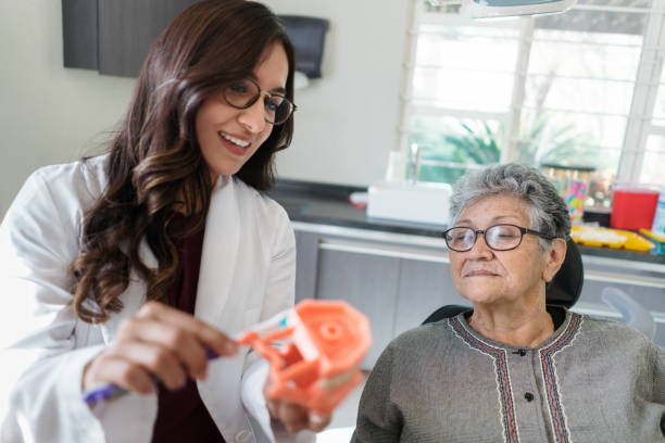 Senior patient looking at dentist with dental model and toothbrush - fotografia de stock