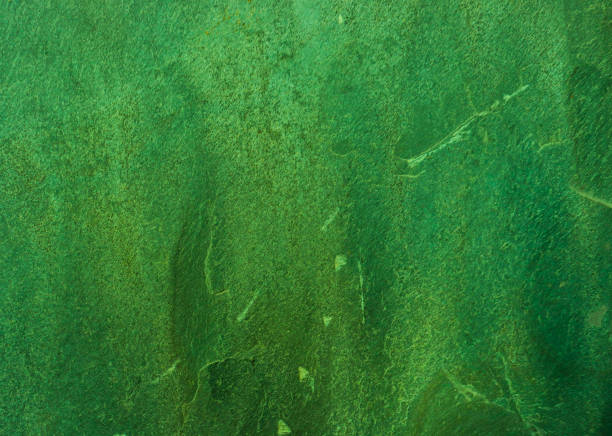 istock Green old rusty shabby metall wall with red brown spots 1419169162