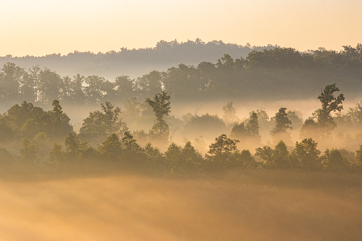 Morning fog hovers in remote valley locations.