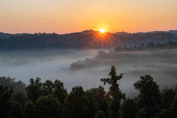 istock Morning Landscape in Mist 1419169689