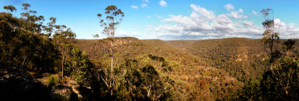 istock Panoramic landscape scene, Blue Mountains National Park 1419174403