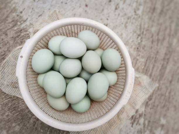 istock Light blue duck eggs in a round plastic basket. Uncooked or raw salty egg. Traditional food. 1419177695