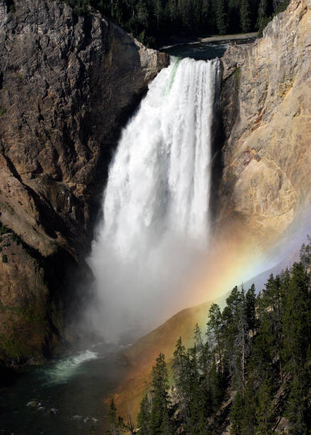 istock Rainbow at Lower Falls, Yellowstone National Park 1419178503