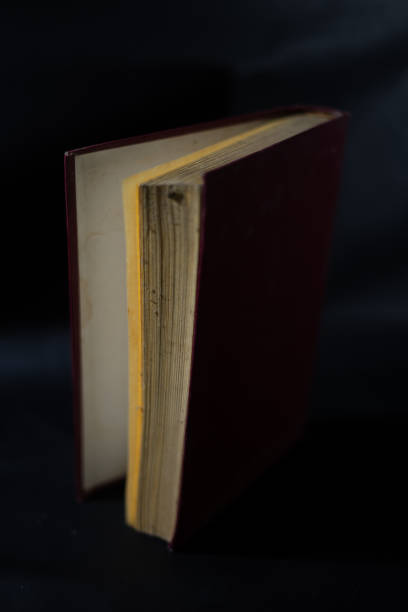 istock Old book open to background design elements in vintage style 1419183338