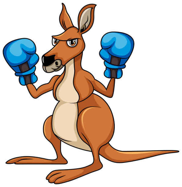 Kangaroo with boxing hand gloves Kangaroo with boxing hand gloves illustration kangaroos fighting stock illustrations