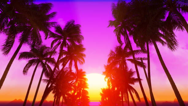istock Coconut Tree Plant On Summer Village 1419194682
