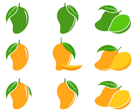 Mango vector set