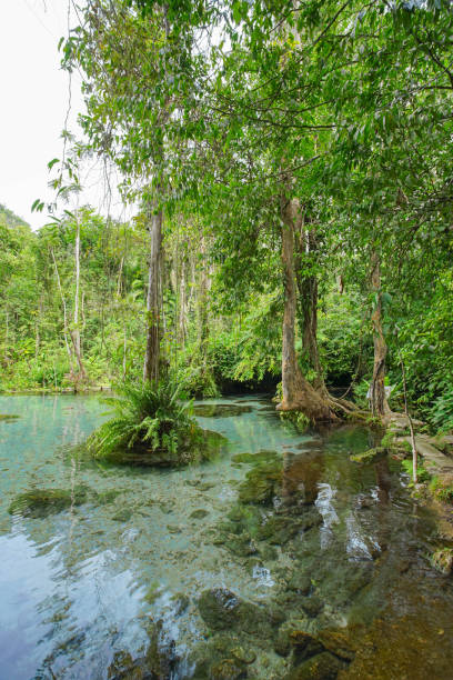 istock Ban Nam Rad Forested watersheds in Surat Thani, Thailand. 1419196749