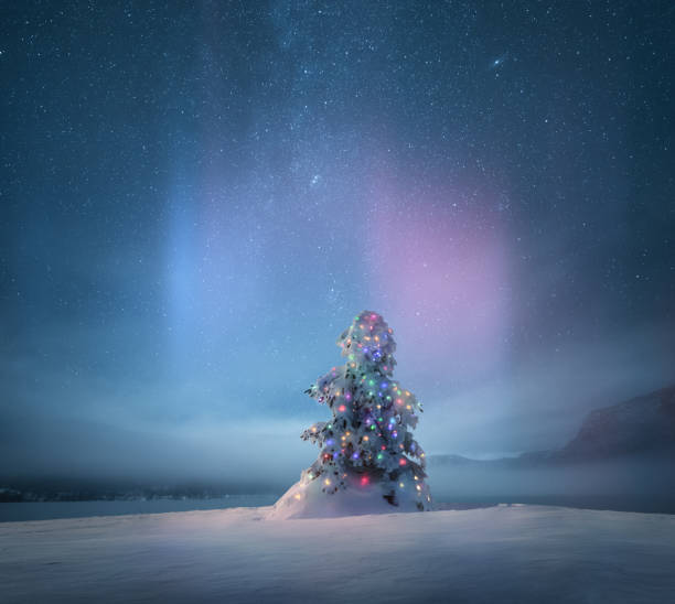 Illuminated Christmas Tree stock photo