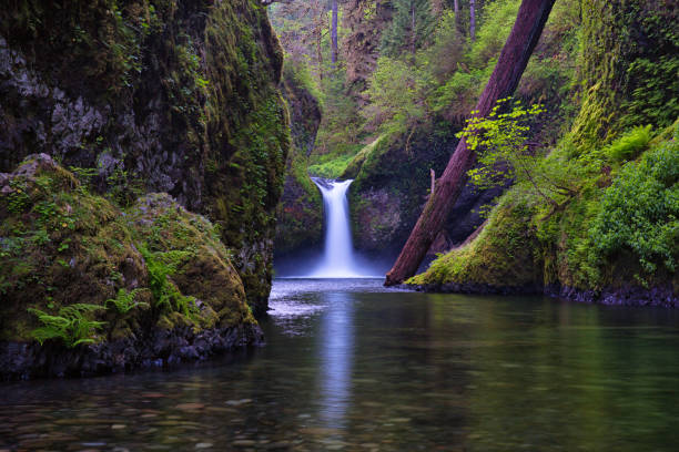 istock The Eagle Creek, Punch Bowl Falls 1419205698