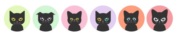 illustrations, cliparts, dessins animés et icônes de avatar de chat mignon ou photo de profil - dewan