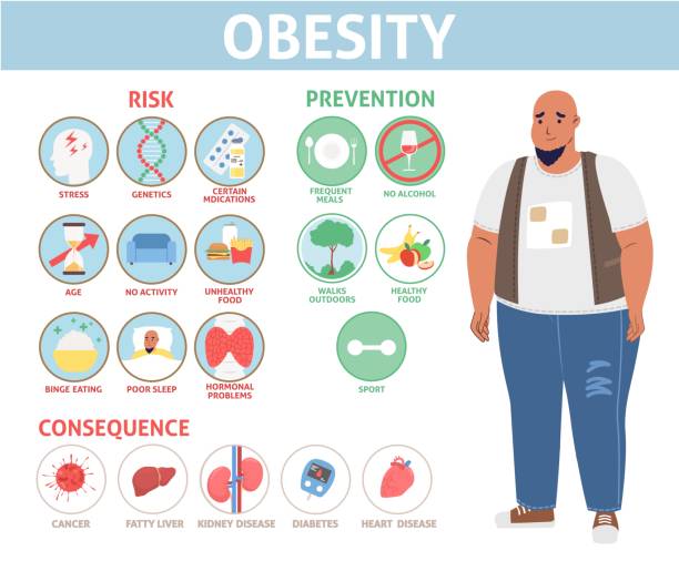 Human obesity info graphic vector flat poster Obesity poster. Risk, consequence and prevention method vector. Fat people health problem infographic. Lifestyle good habits and health care for overweight person illustration obesity stock illustrations