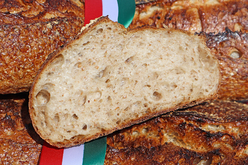 Fresh baked bread slice close-up